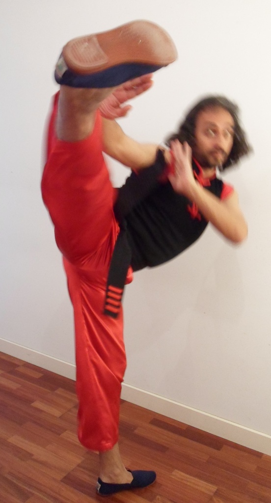 patada lateral jrbis